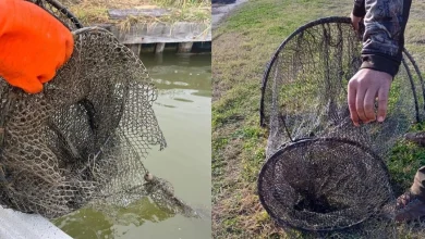 Barca rubata e reti tagliate nelle Valli di Comacchio, i sospetti cadono su giovanissimi
