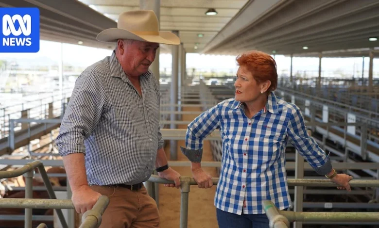 Barnaby Joyce joins One Nation, concluding defection from Nationals