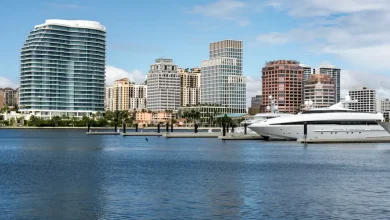 Beloved Lion Country Safari sold to billionaire Larry Ellison