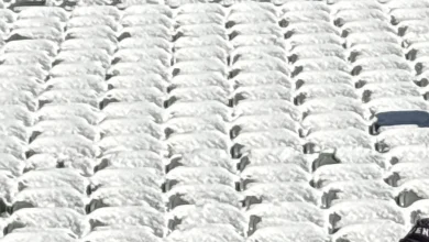 Bengals didn’t remove snow from stadium seats, in apparent violation of league policy