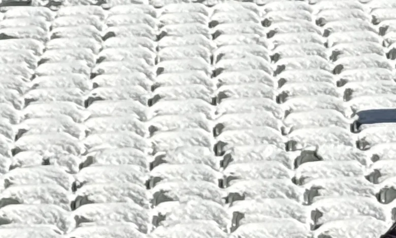 Bengals didn’t remove snow from stadium seats, in apparent violation of league policy