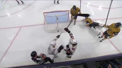 Bertuzzi Grabs Turnover