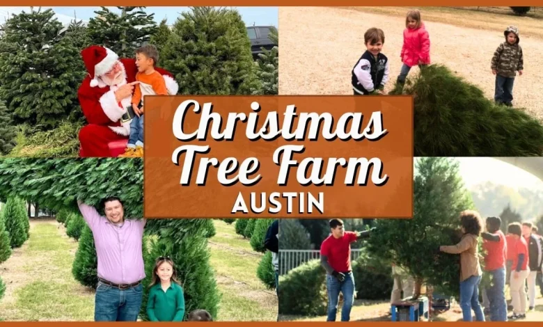 Best Christmas Tree Farm Austin Guide (2025 Update)