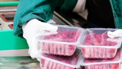 Beyond Meat (BYND): Assessing the Valuation as Sentiment Shifts for Plant-Based Pioneer