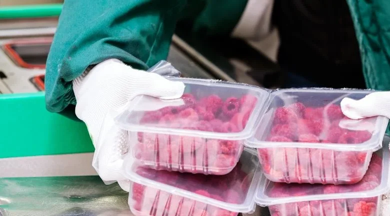 Beyond Meat (BYND): Assessing the Valuation as Sentiment Shifts for Plant-Based Pioneer