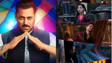 Bigg Boss 19 Finale guest list : Kartik Aaryan, Sunny Leone and more to make grand entry on the show; full list inside