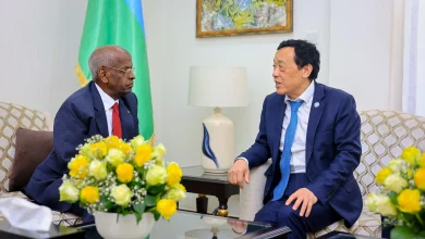 Bilateral Meeting with H.E. Abdoulkader Kamil Mohamed, Prime Minister of the Republic of Djibouti