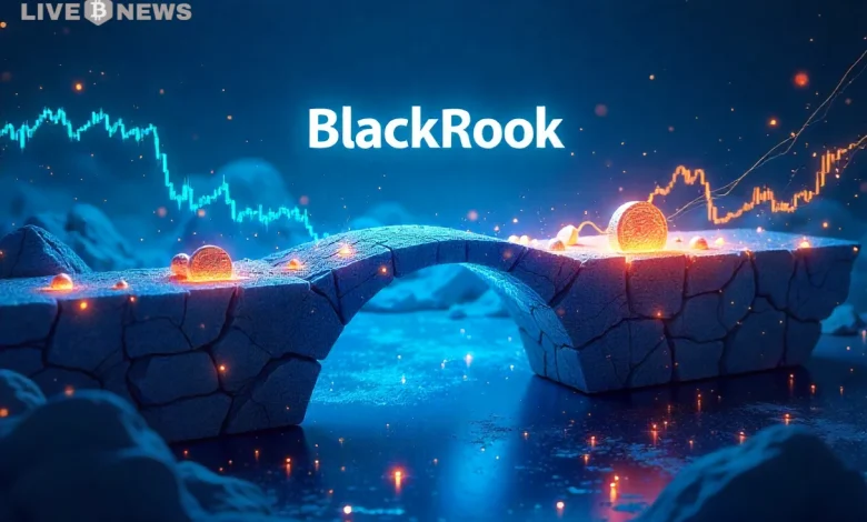 Bitcoin ETFs News: BlackRock Sees Surging Demand for Bitcoin ETFs in Brazil