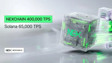 Bitcoin Reserve Drop Draws Market Attention as Nexchain’s Stage 29 Presale Pushes Toward Completion