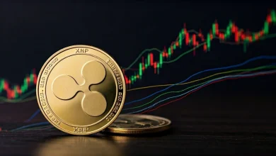 Bitwise Goes All-In on Ripple: CIO Says XRP’s “Game Has Changed” After ETF Boom