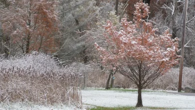 Blizzard-like conditions possible in some NY areas. Track how much snow has fallen