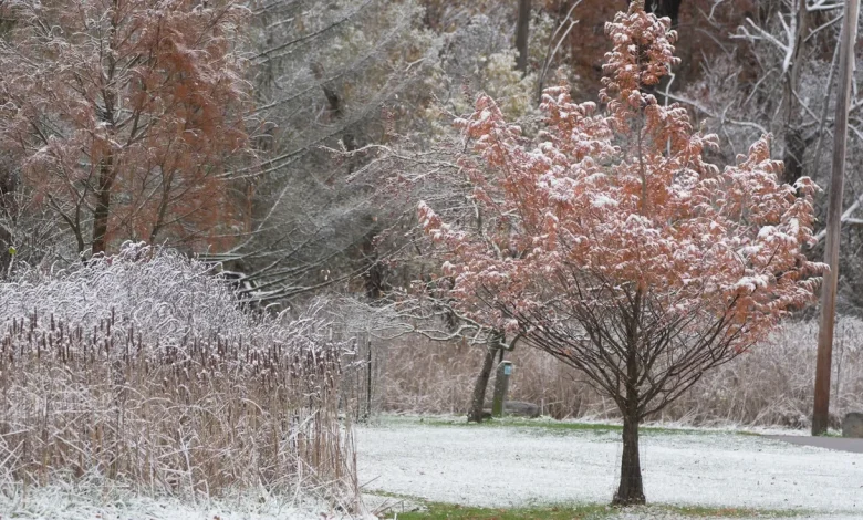 Blizzard-like conditions possible in some NY areas. Track how much snow has fallen