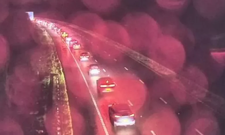 Body of 24-year-old man found on the M4