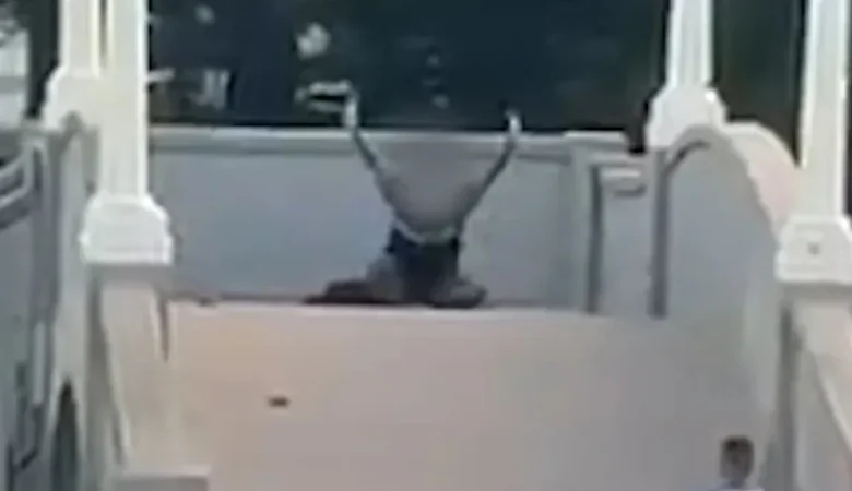 Bondi hero who ran toward gunman facing deportation