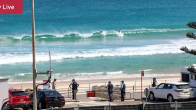 Bondi shooting live updates: PM says Australia to establish national gun buyback scheme; men arrested in Liverpool had no confirmed links to Bondi gunmen, police say