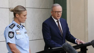 Bondi terror attack spurs Australia's biggest gun buyback scheme since Port Arthur massacre