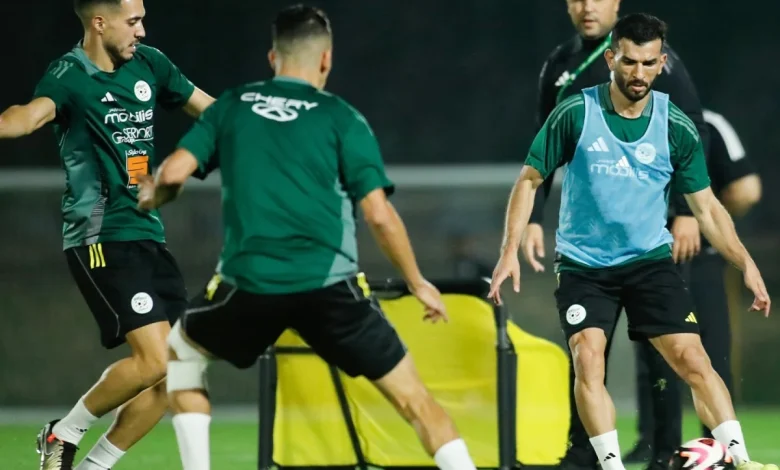 Bougherra wary of ‘surprises’ as Algeria open Arab Cup title defence against Sudan