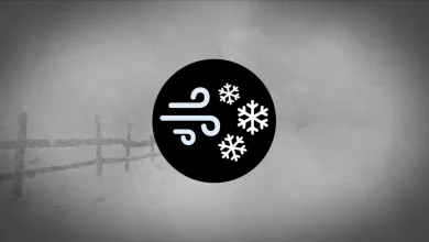 Bourrasques de neige : dangers soudains sur les routes