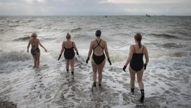 Boxing Day swim cancelled as organisers 'admit defeat'