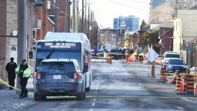 Boy, 7, dead after being struck by Hamilton city bus