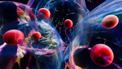 Break in the case for long COVID investigators