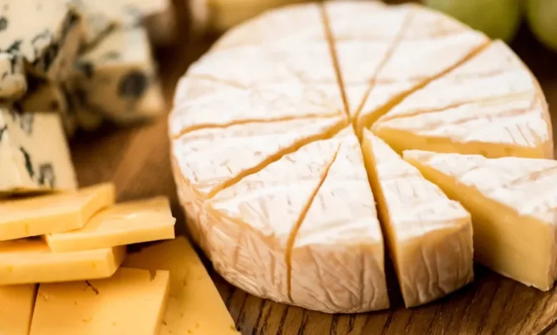 Brie, cheddar, and other high-fat cheeses linked to lower dementia risk