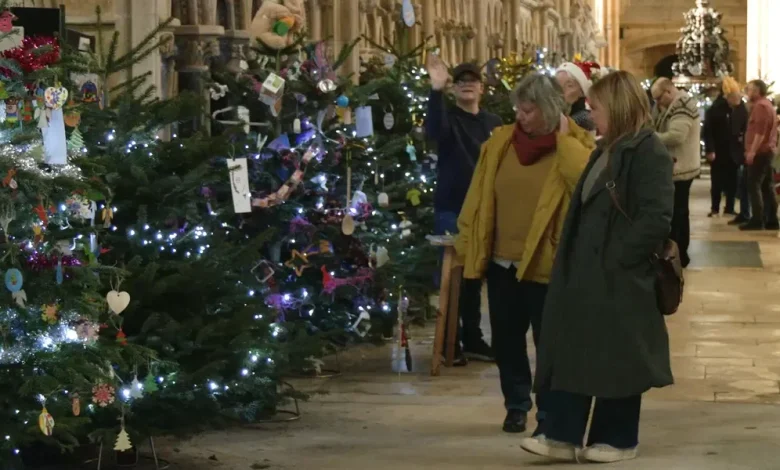 Britain's largest Christmas tree festival leaves locals 'breathless' as community bands together
