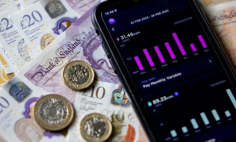 British Gas, Eon and Octopus Energy customers to get HUGE discount next year