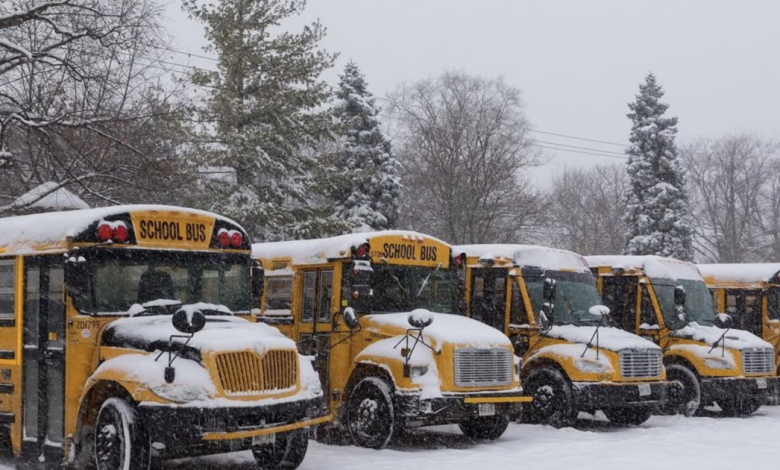 Bus service cancelled on Thursday to schools in West Parry Sound area