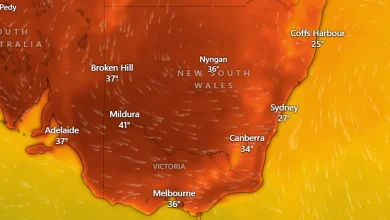 Bushfire warning as temperatures spike to over 40 degrees in one state