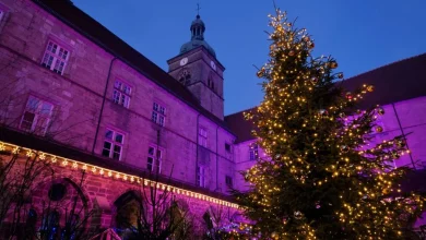 CARTE. Marchés de Noël 2025 : les plus insolites à découvrir près de chez vous en Franche-Comté