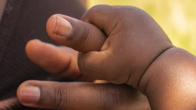 CDC awards $1.6 million for hepatitis B vaccine study by controversial Danish researchers