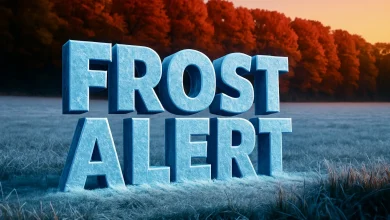 California Weather Alert: Frost Advisory & Sneaker Wave Risk for Eureka Until 9AM