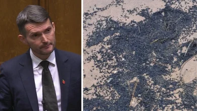 Calls for action over plastic beads which polluted beach before another 'disaster'