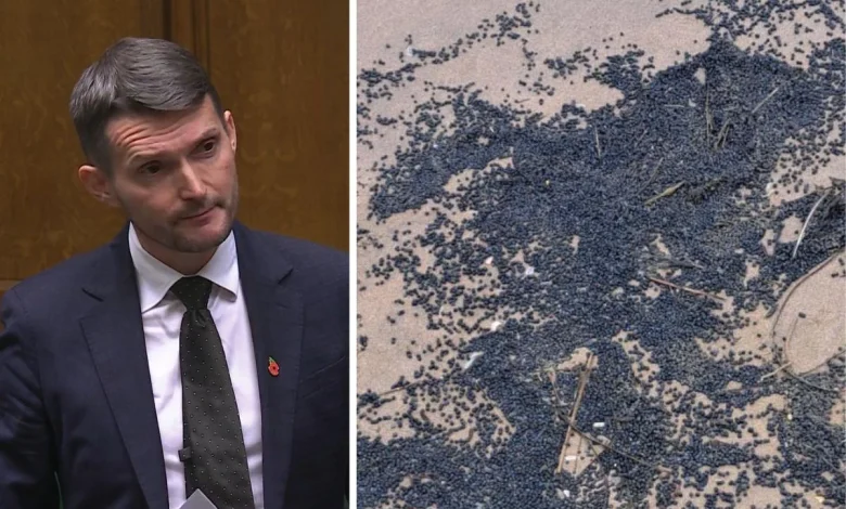 Calls for action over plastic beads which polluted beach before another 'disaster'