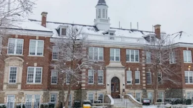 Campbell Centre Appoints New Director of Animal Welfare Studies