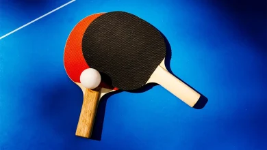 Can Timothée Chalamet make pingpong sexy? For many, it already is