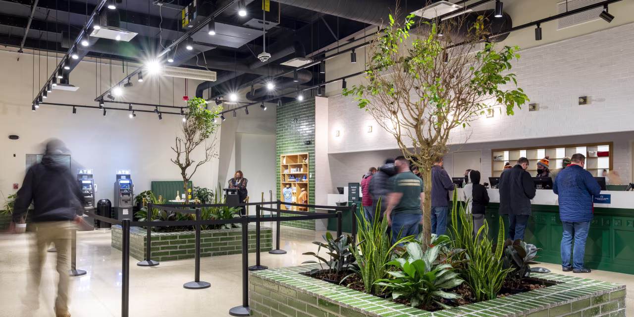 Cannabis Stocks Soar on Reports White House Plans to Reclassify Pot