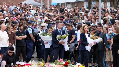 Cap on guns, ban on protests during terror events: How Bondi massacre will change NSW laws