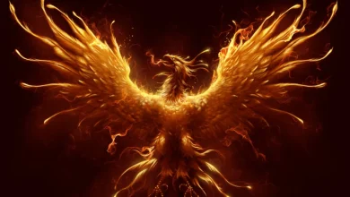 Capricor Heads Back to FDA With Pivotal Results for DMD Cardiomyopathy Therapy