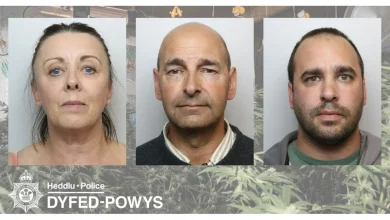 Carmarthenshire family ordered to repay £1m from cannabis factory profits