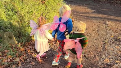 Carrie Johnson's children transform into fairies - and their wild hair is just like dad Boris'