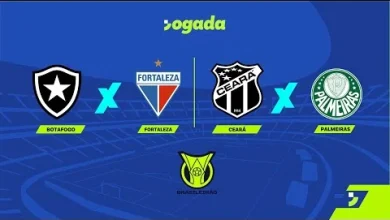 Ceará x Palmeiras: veja horário, onde assistir, palpites, escalações e combinações de resultados