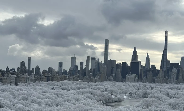 Central Park Covered in Snow: See Photos