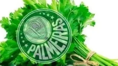 Cheiro verde? Flamenguistas zoam Palmeiras após título do Brasileirão