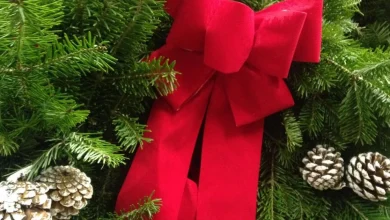 Christians Should Remember Antidote to Self-Centeredness: Generosity.