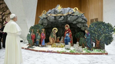 Christmas creche, tree are signs of hope, pope says