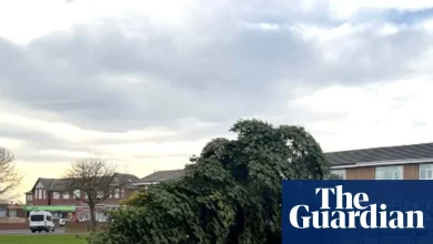 Christmas tree in Durham village chopped down hours after lights switched on