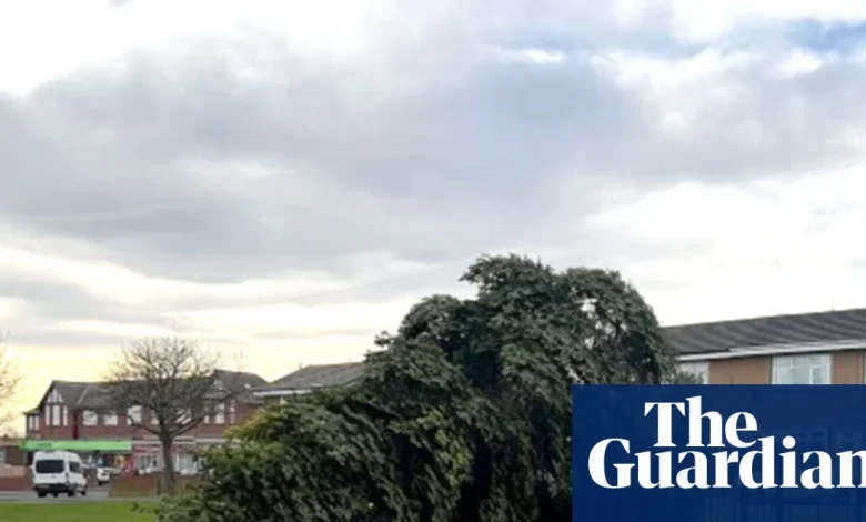 Christmas tree in Durham village chopped down hours after lights switched on