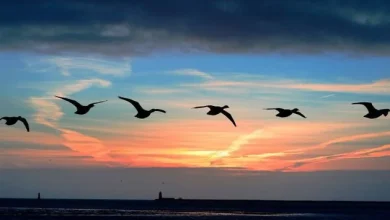 Christmas weather update: Met Éireann gives verdict on chance of storms over festive period